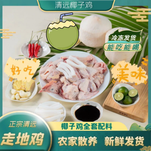 广东特产清远鸡椰子鸡全套餐